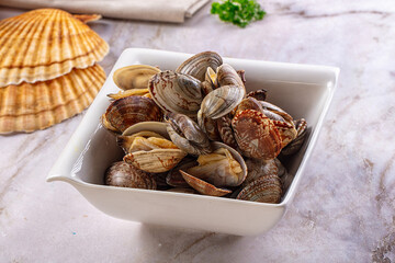 Steamed vongole clams with spices © Andrei Starostin