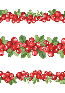 Watercolor Cranberry Borders: A Lush Harvest