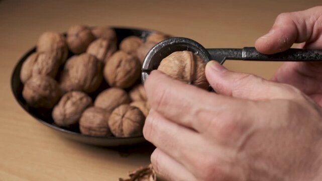 Close up of hands using a metal nutcracker to crack walnuts in a bowl