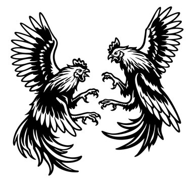 Traditional Cockfighting Illustration Featuring Two Aggressive Roosters In Battle, Fierce Gamefowl Combat Scene With Spread Wings