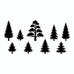 Fototapeta premium collection of pine tree silhouettes vector illustration
