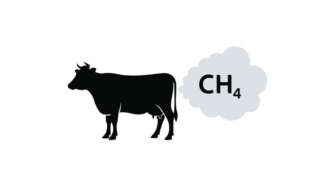 Black silhouette of a cow emitting methane gas (CH4) from its rear, representing livestock greenhouse gas emissions and environmental impact vector illustration
