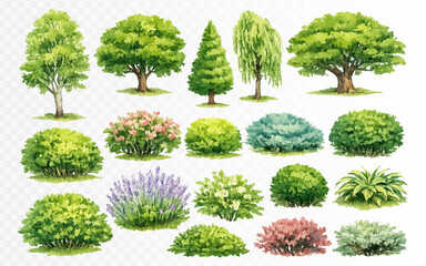 Fototapeta premium Watercolor landscape set with ornamental trees, blooming shrubs and green bushes, detailed botanical clipart collection for garden plans, park layouts and nature illustrations. Vector illustration