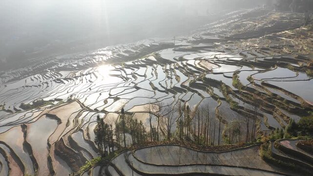 Tilted drone flight of spectacular rice terraces with reflection of sunrise in water, agricultural scene in Southern China
