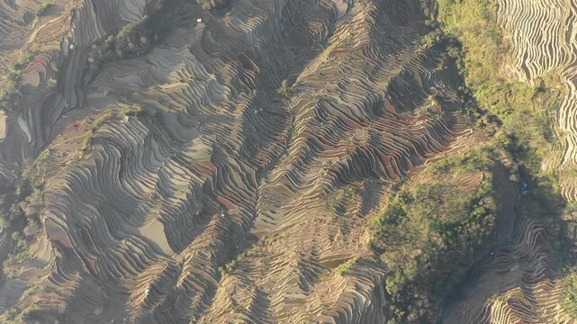 Bird's eye perspective of water filled rice paddy fields in Yuanyang, China
