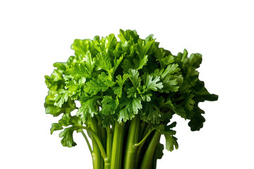Fototapeta premium Fresh green parsley bunch on transparent background representing healthy organic cooking ingredients