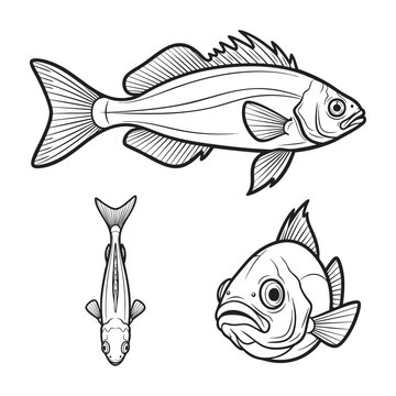 Ladyfish Slender Fork Tail Three View Bold Line Art Vector Design
