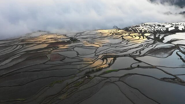 Aerial view of misty sunrise reflection in water of rice paddy fields of spectacular landscape in China
