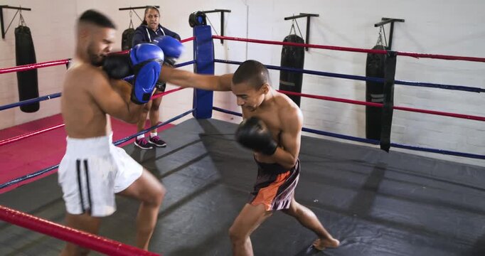 Male boxers in gym ring jabbing and feinting before one knocking down partner, trainer celebrating