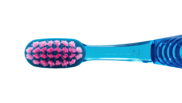 Fresh and clean blue toothbrush with vivid pink bristles for daily dental care routine