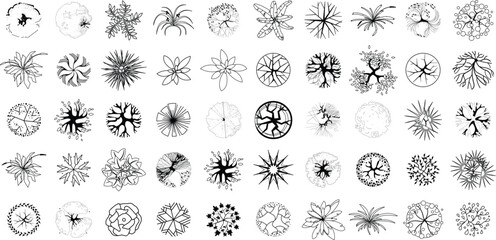 Tree top view set. Black line art plant icons for landscape architectural design. Vector isolated © Rahib