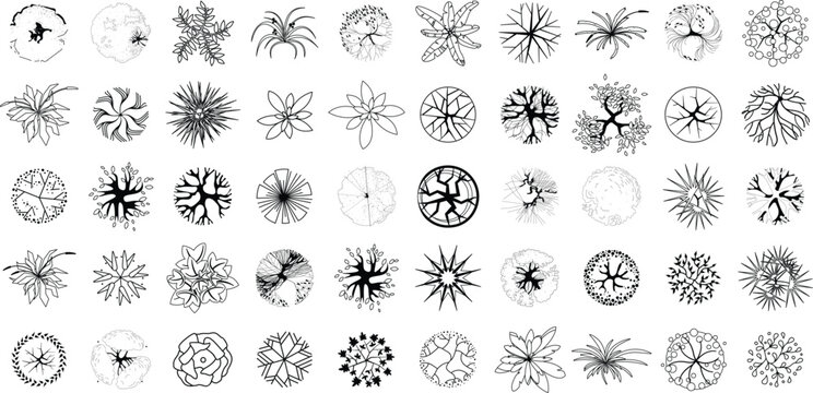 Tree top view set. Black line art plant icons for landscape architectural design. Vector isolated
