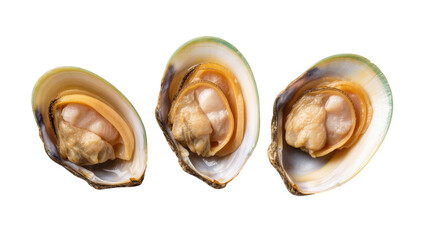 Three fresh opened green shell mussels showing their succulent meat, delicious seafood delicacy © Natasha