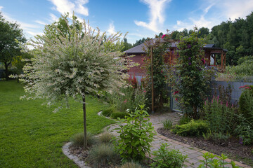 Colorful flower beds in a garden plot, full of blooming plants and greenery, creating a peaceful and natural outdoor space. © jarizPJ