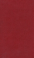 Fototapeta premium Red leather texture. Skin pattern background universal use