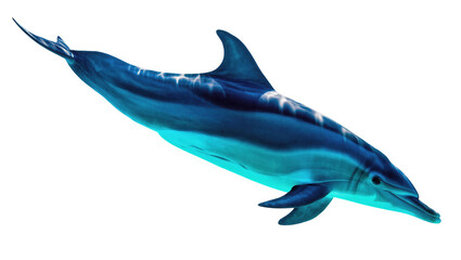 Majestic marine mammal, a beautiful blue dolphin, showcasing power and agility underwater © Sindre