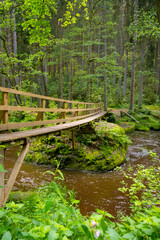 Fototapeta premium Rustic Wooden Footbridge Arch Over Muddy River in Lush Summer Forest Landscape with Green Foliage and Mossy Rocks, Serene Nature Walk