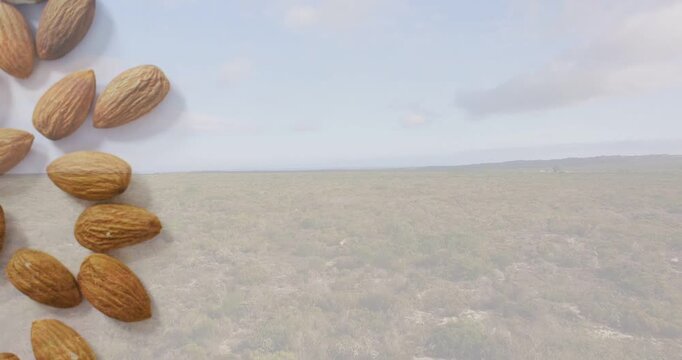 Vertical video: Entering from top-left whole almonds forming along left at scrub dunes, copy space