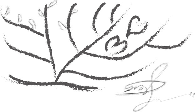 hand drawn branching diagram resembling evolutionary tree with curved lines diverging from central point, labeled branches b and c, representing scientific concept of ancestry and divergence in biolog