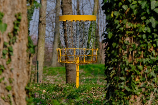Discgolf basket in the park between trees