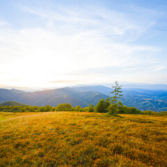 Obraz premium mountain ridge covered by grass in light of evening sun