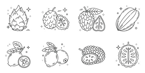 Obraz premium Vibrant collection of exotic tropical fruit line drawings perfect for healthy lifestyle food product packaging and natural ingredient menu designs
