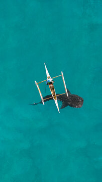Aerial view of a whale shark swimming next to a traditional wooden boat with a fisherman in clear turquoise water Philippines.