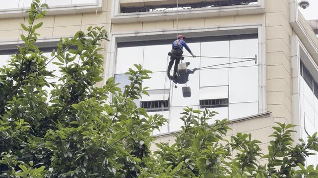 A specialized high-altitude worker, equipped with a safety harness and hard hat, rappels down the glass facade of a modern high-rise commercial building. The window cleaner uses a long-handled squeege