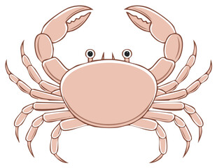 Fototapeta premium Illustration of a crab with claws and legs, seafood animal design.
