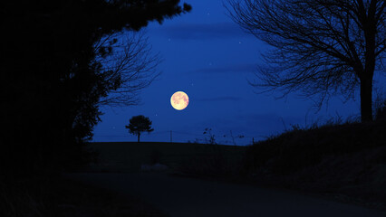 Fototapeta premium Full Moon, stars and planets above landscape silhouettes.