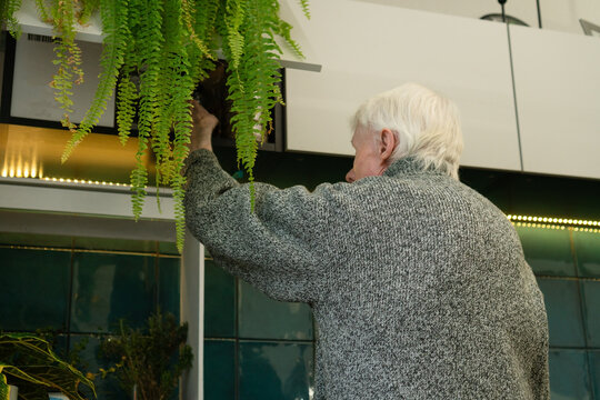 From behind, an older adult stretches to reach a high shelf in the kitchen. The view emphasizes senior posture and effort involved in everyday activities. Grandfather performing household chore.