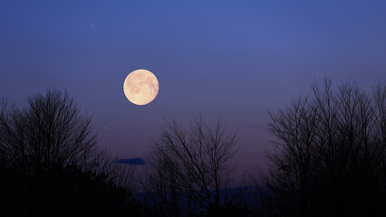 Full Moon, stars and planets above landscape silhouettes. © astrosystem