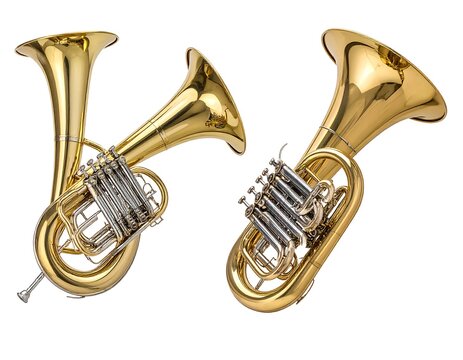 Two gleaming, brass musical instruments sit against a stark white background