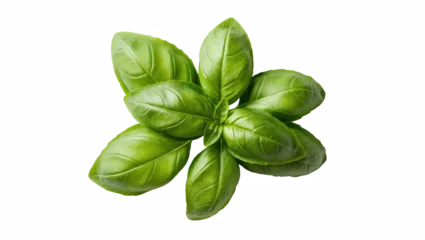 Lush green basil leaves arranged in an aromatic organic cluster, healthy culinary ingredient © Trym