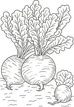Coloring page outline of cartoon vegetables. Colorful vector illustration, food coloring book for kids.