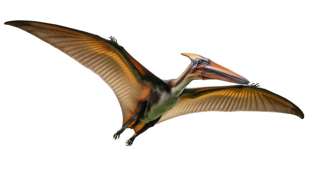 Majestic prehistoric Pteranodon in flight with powerful wings spread, detailed view