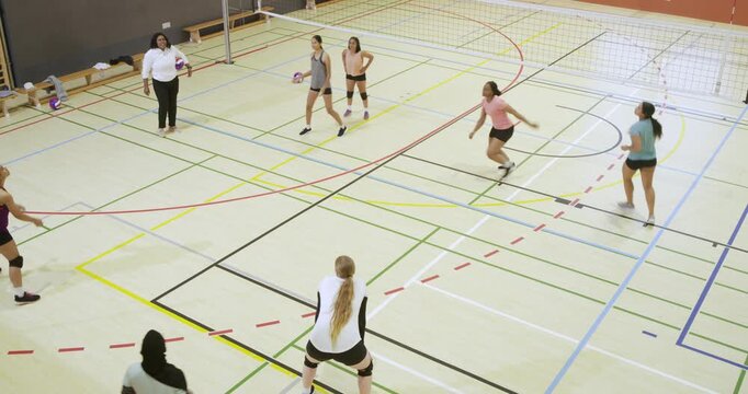 Female team with African American coach practicing volleyball at net in gym, coach tossing balls