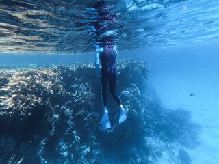 Fototapeta premium Female free diver in a full-body black and blue wetsuit and white fins preparing for a dive by a coral reef wall in the Red Sea, Egypt.