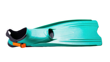 Dynamic turquoise flipper essential gear for swimming, snorkeling, and diving adventures © Ines