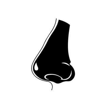 Stylized graphic illustration of a human nose, a fundamental facial feature essential for the sense of smell and representing human anatomy in a clean, minimalist design