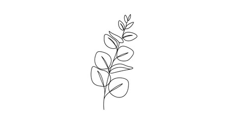 Single line drawing of a eucalyptus branch with leaves on a white background © STwul