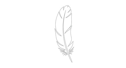 Minimalist gray outline of a single feather on a white background © STwul