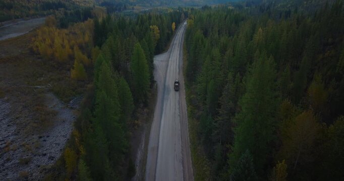 Forest road cutting through evergreen wilderness in northwest Montana near Polebridge, aerial drone tilt up follows semi truck