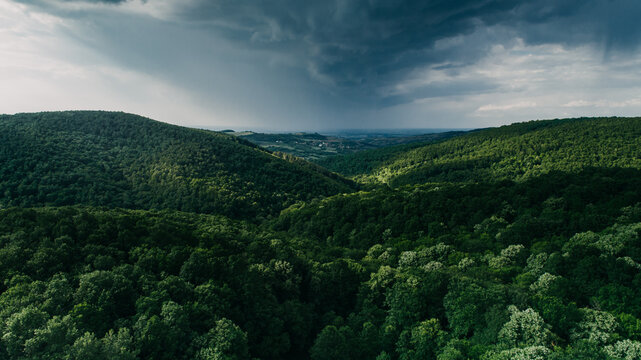 Aerial view of a dense forest canopy embracing rolling hills beneath a dramatic, stormy sky, Novi Sad, Vojvodina, Serbia.