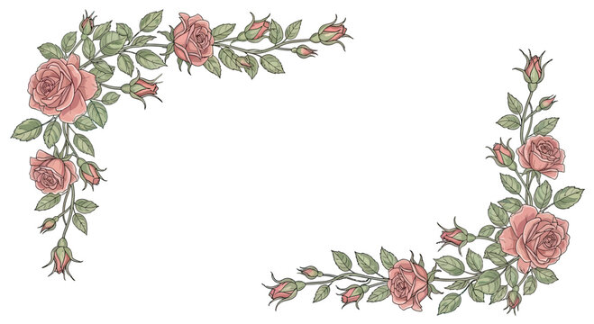 Delicate rose branches with buds adorn corners of a white background