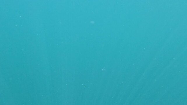 Water underwater serene, clear blue natural lake water, light rays background