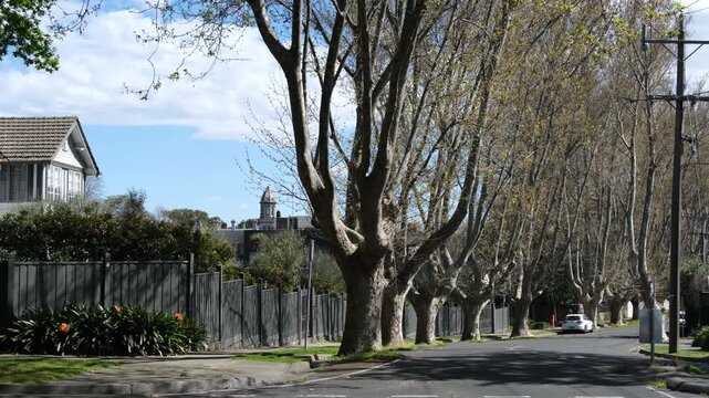 Residential street in an inner suburb of Melbourne, Australia, featuring large mature trees forming a canopy over the road and established housing. Upscale neighborhood character and atmosphere.