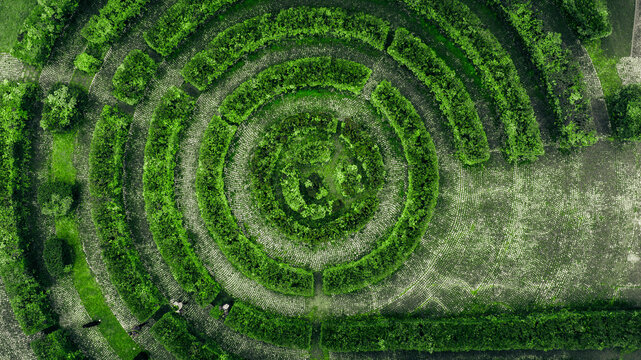 Aerial view of a circular maze with verdant hedges casting shadows on the winding paths, a vibrant green labyrinth, Sremska Mitrovica, Vojvodina, Serbia.