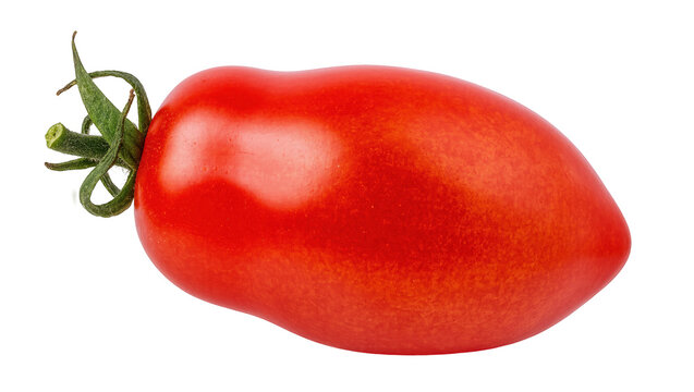 Fresh ripe red plum tomato with green stem, healthy organic vegetable food ingredient