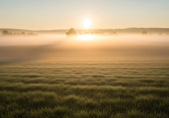 Fototapeta premium Ethereal Morning Mist Over Rolling Green Meadow | Peaceful Rural Landscape with Sunrise and Foggy Countryside Beauty